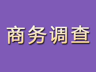 城区商务调查